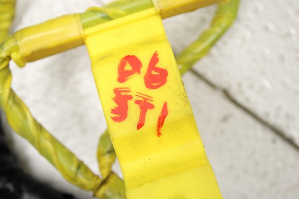2006 SUBARU WRX STI REAR FLOOR WIRING HARNESS 81502FE313 OEM - Image 9