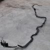 2015-2020 SUBARU WRX & STI FUEL LINES HARD LINE PIPE OEM 42063VA000 - Image 2