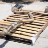 2015-2020 SUBARU WRX & STI INVIDIA Q300 CAT BACK EXHAUST SYSTEM TITIANIUM TIPS - Image 4