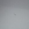 2015-2020 SUBARU WRX & STI REAR LH DRIVER SIDE DOOR ASSEMBLY ISM SILVER OEM - Image 8